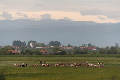 Kiemelt támogatás az AgroSIC-nek