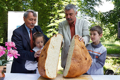 Ziua familiilor în curtea castelului Mikes