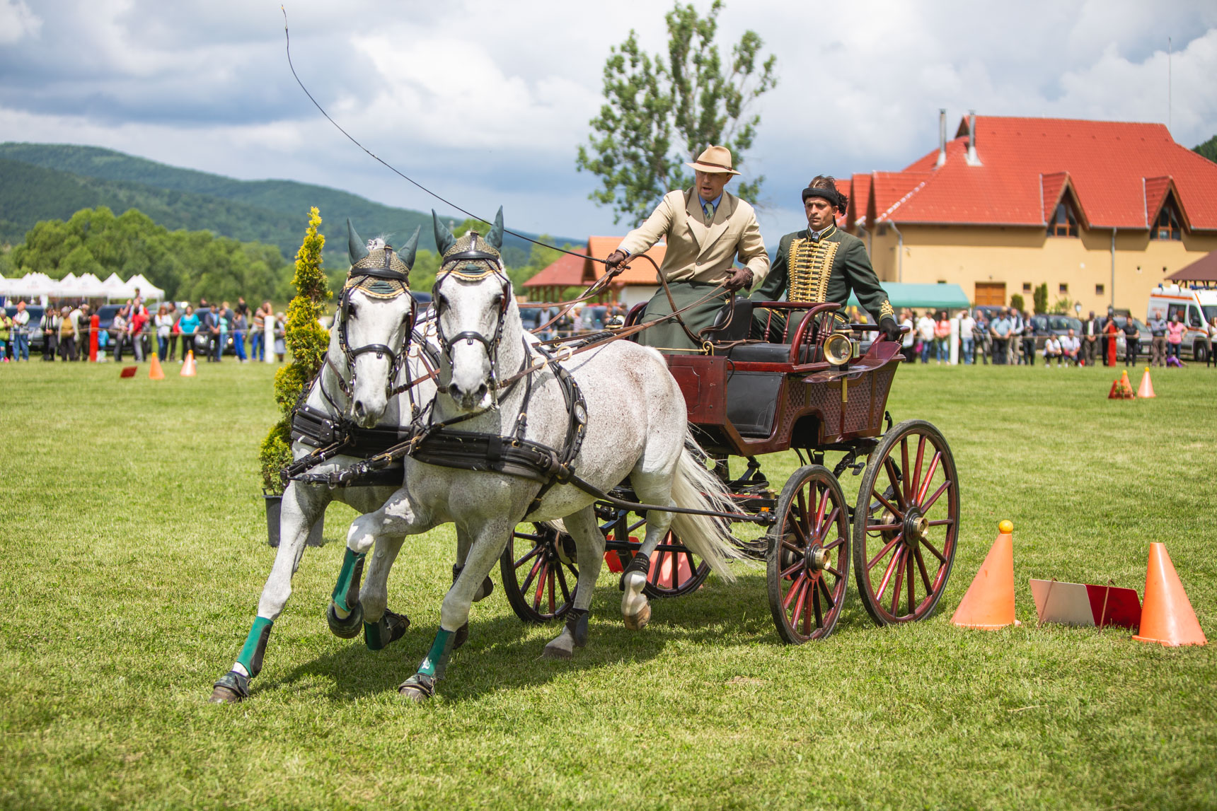 Primul Campionatul Internaţional de Atelaje cu Doi Cai, organizat la Olteni