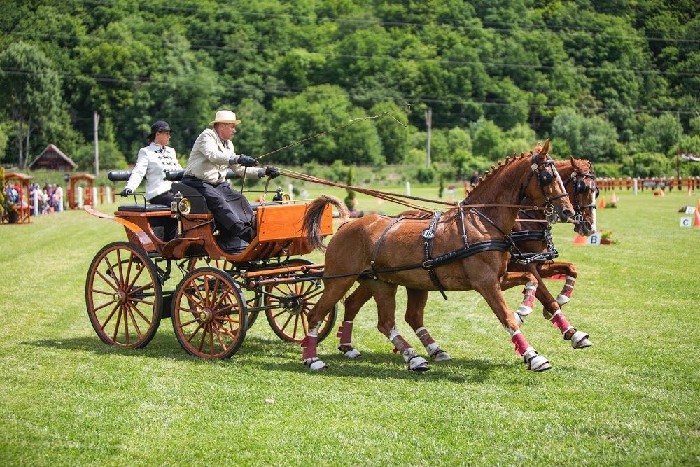 Zilele Ecvestre Covăsnene la Olteni  - Cel mai mare eveniment ecvestru din Transilvania