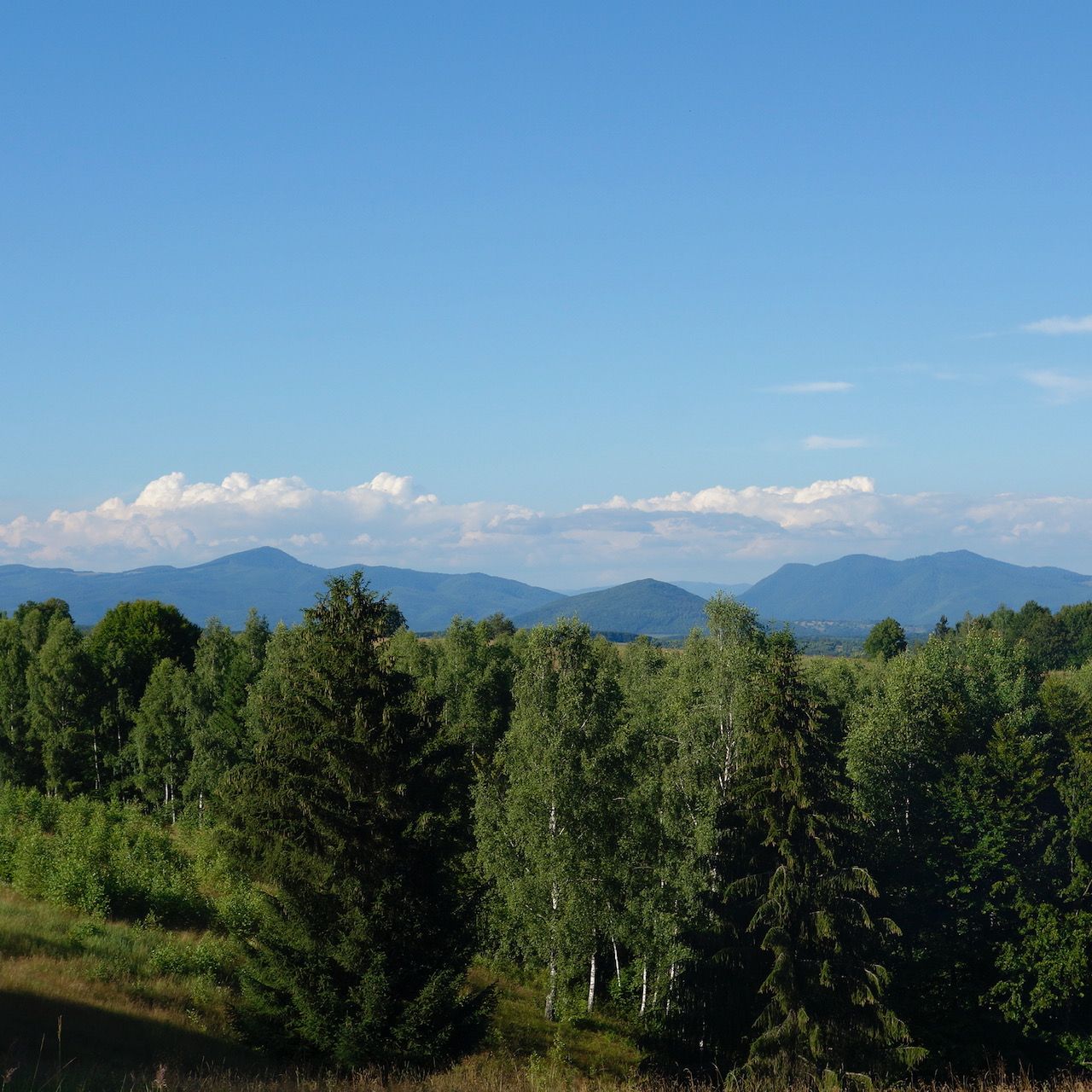 Amenajarea a încă două refugii montane pe traseele turistice din județul Covasna